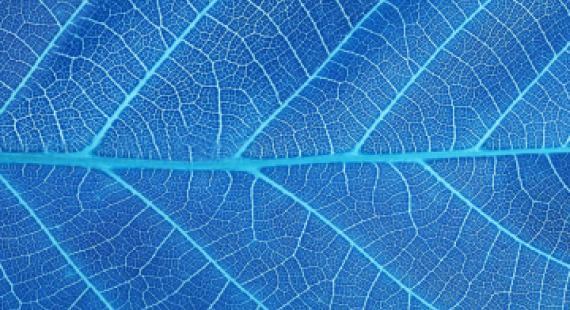 Komitmen terhadap Net Zero