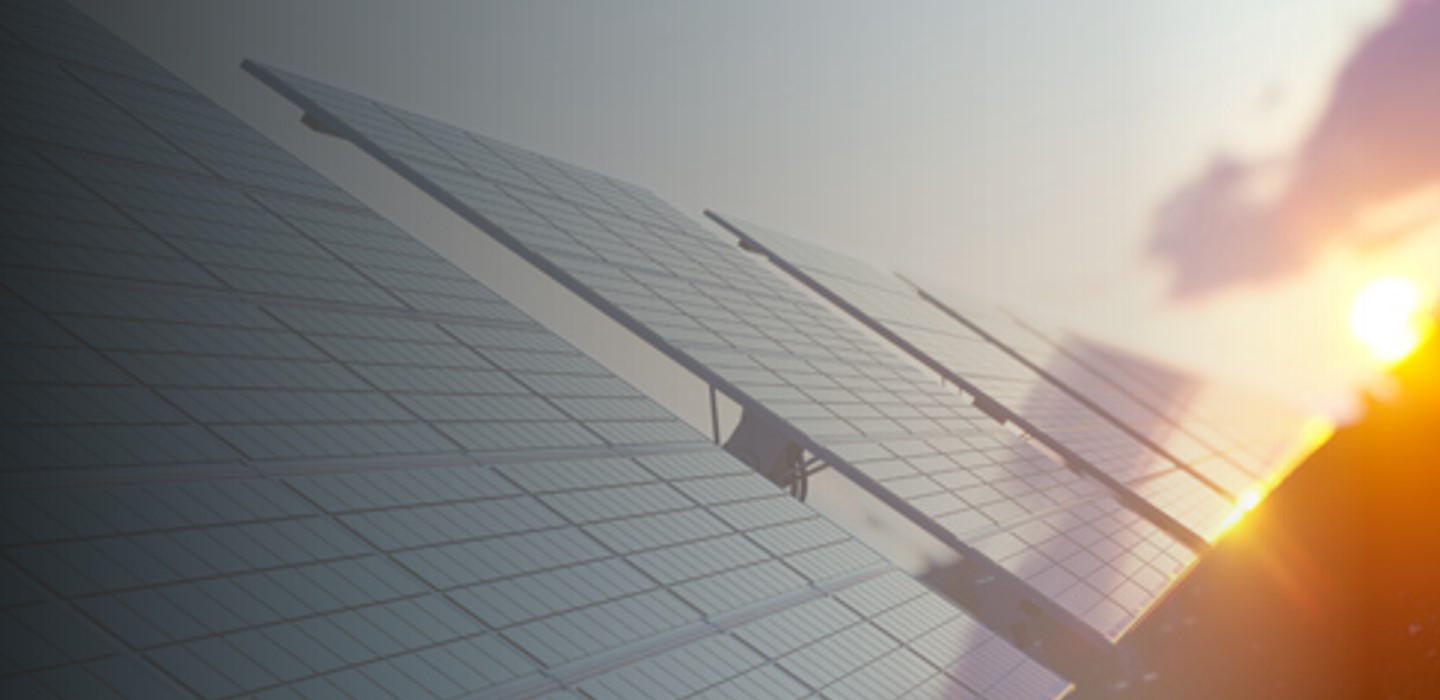 Sustainability Report 2025