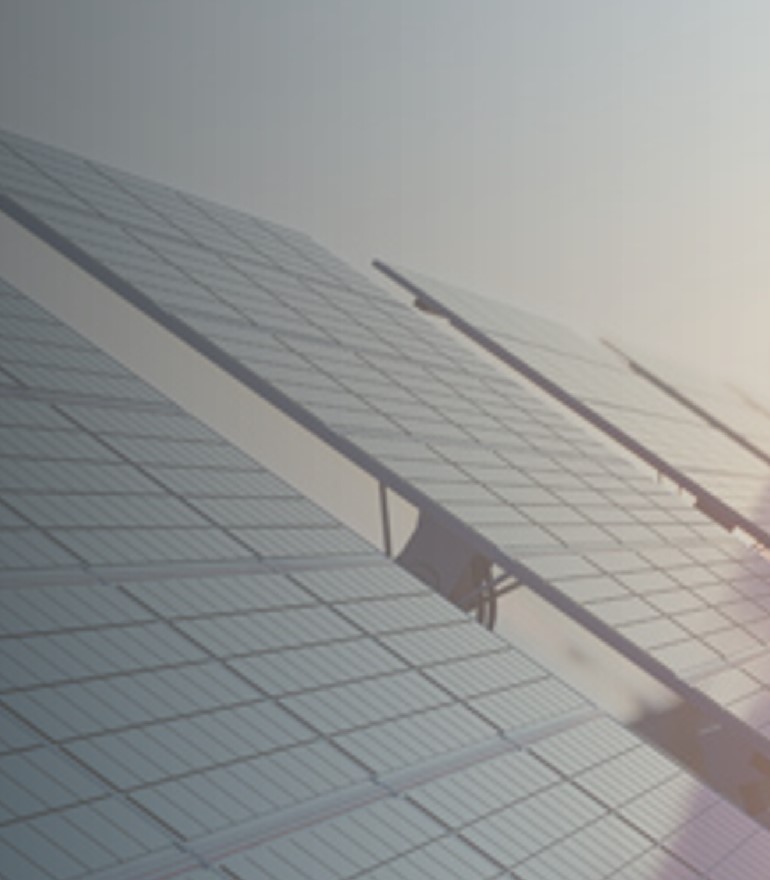 Sustainability Report 2025