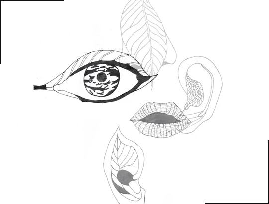 Isolated Garden, Prabu Perdana, 2020