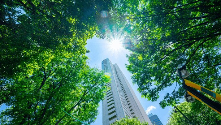 Sustainability