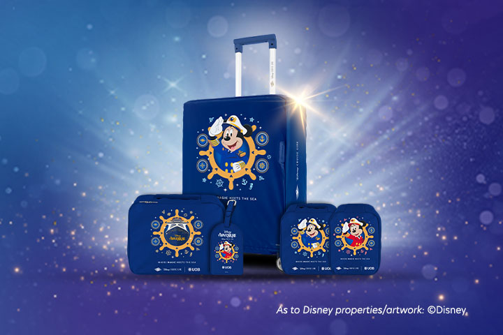 /Luggage Set bertema Disney