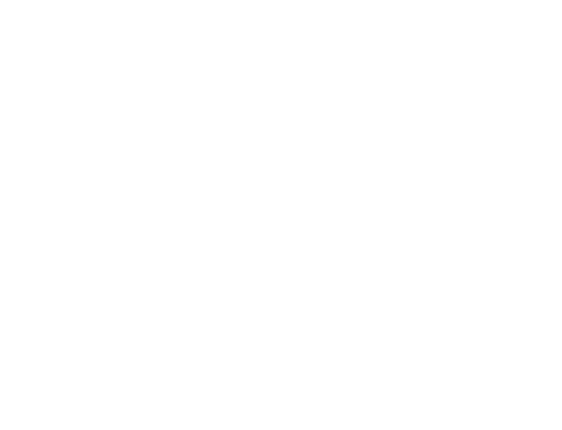 BizSmart Logo