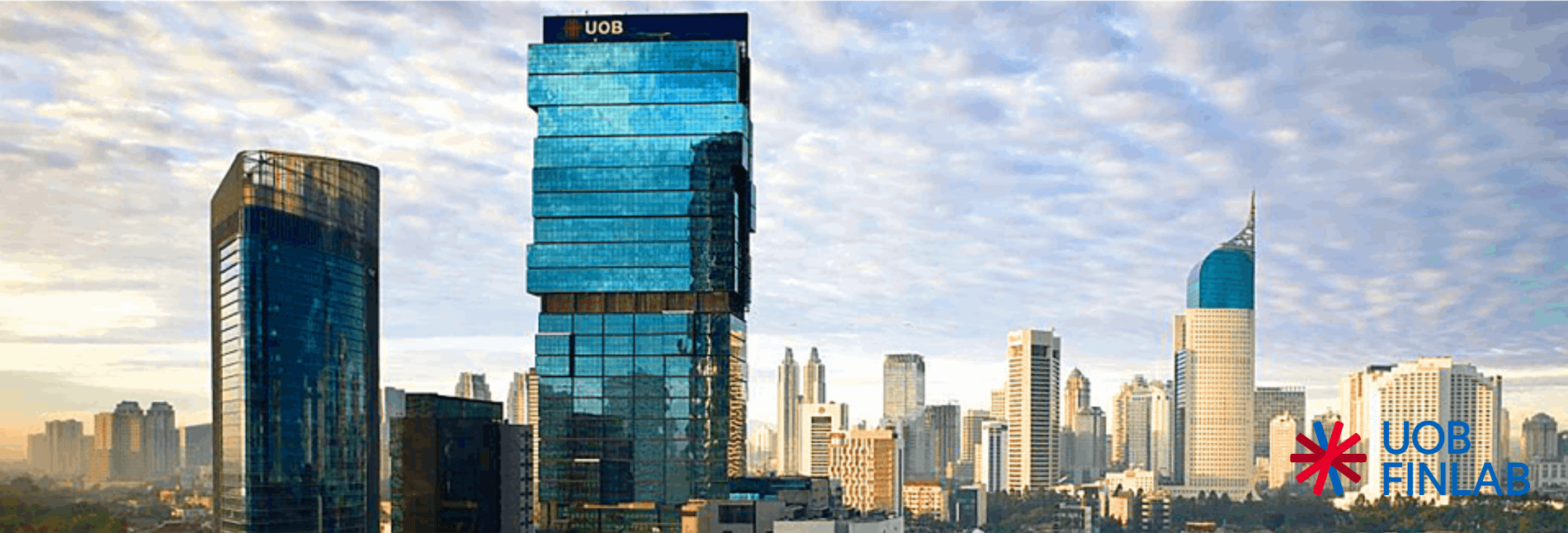 Accelerate your business growth with us now!